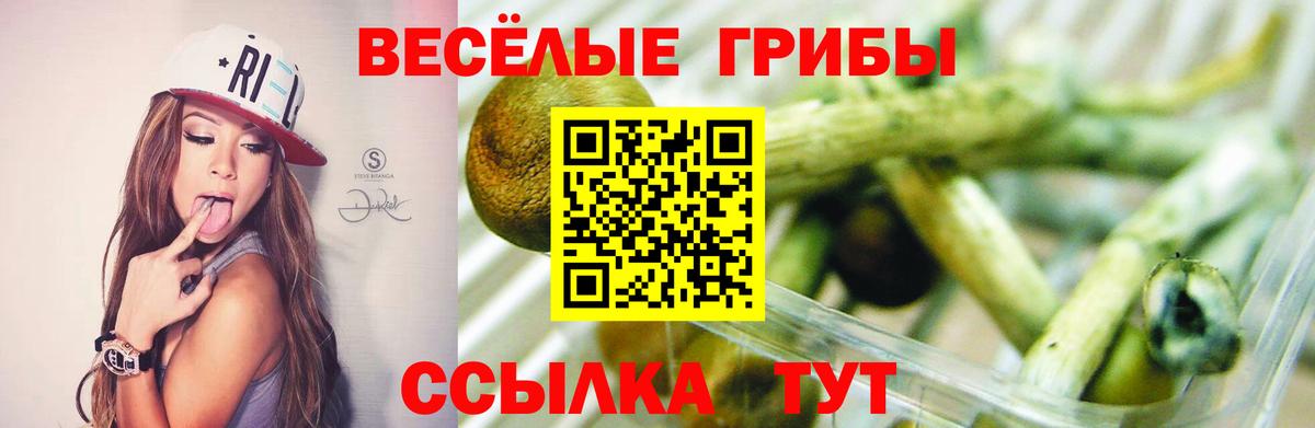 Обь  Псилоцибиновые грибы прущие грибы  Вход с VPN 