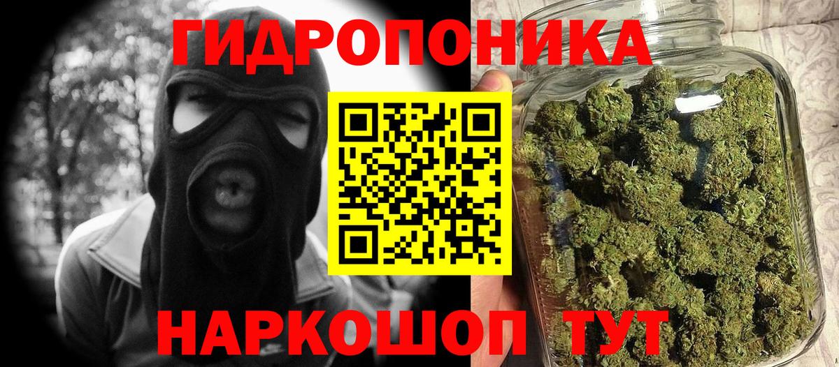 Шишки марихуана сатива Обь